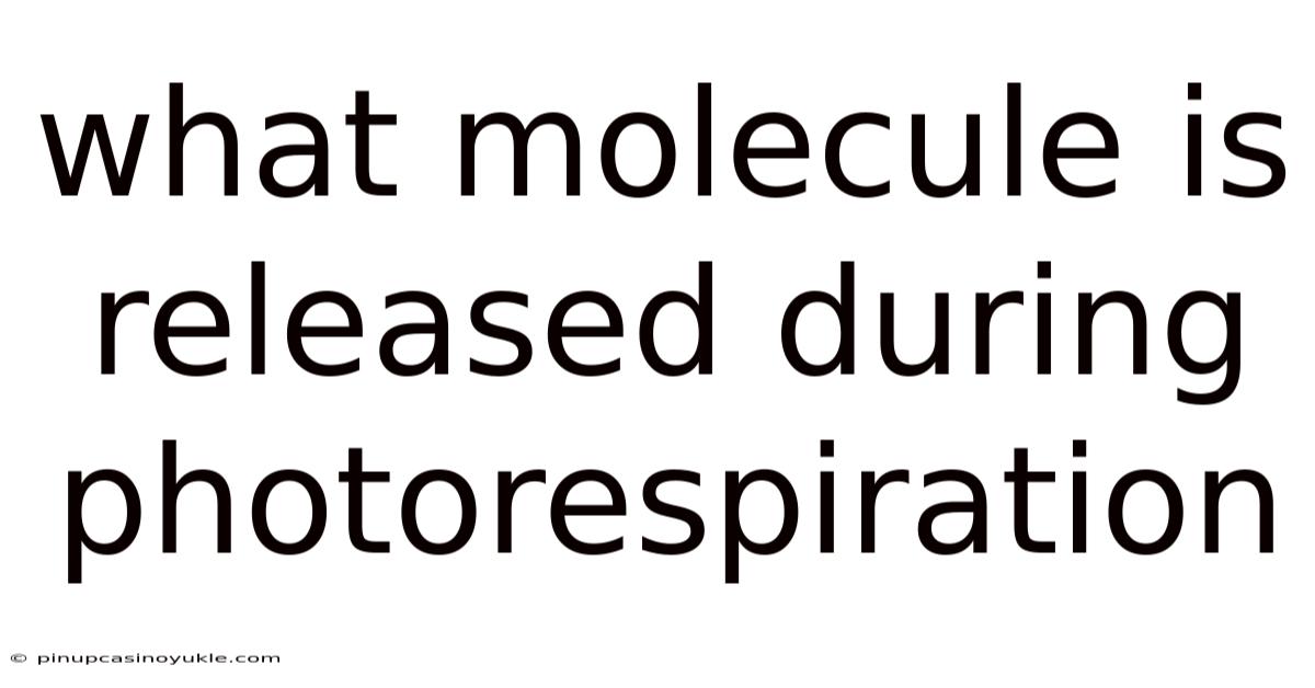 What Molecule Is Released During Photorespiration