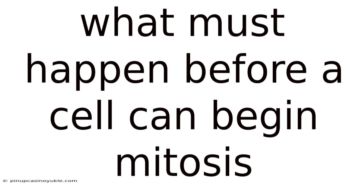 What Must Happen Before A Cell Can Begin Mitosis