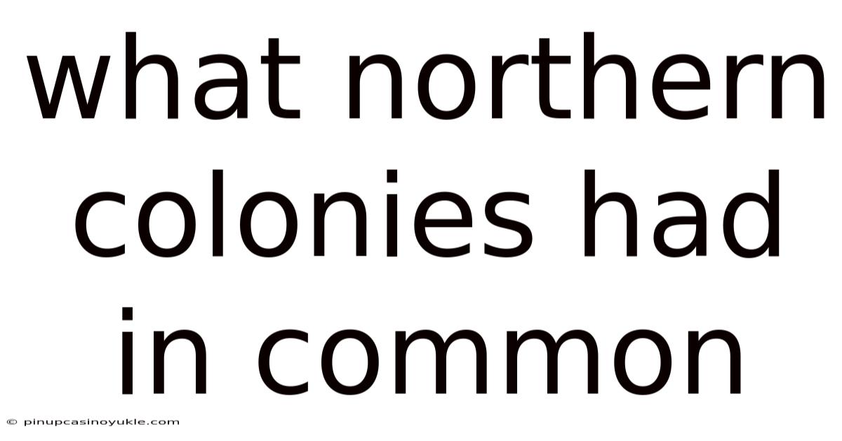 What Northern Colonies Had In Common