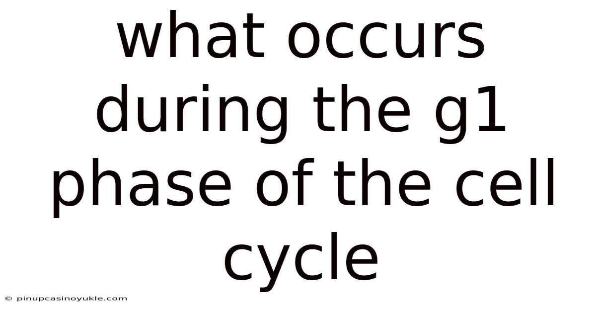 What Occurs During The G1 Phase Of The Cell Cycle