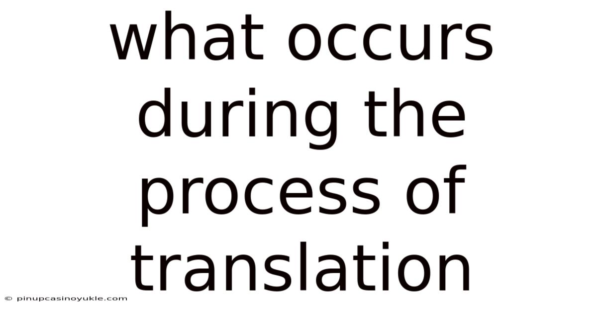 What Occurs During The Process Of Translation