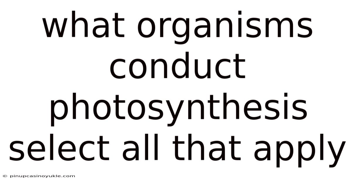 What Organisms Conduct Photosynthesis Select All That Apply