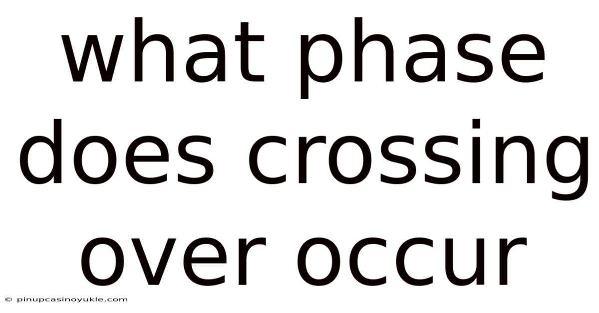 What Phase Does Crossing Over Occur