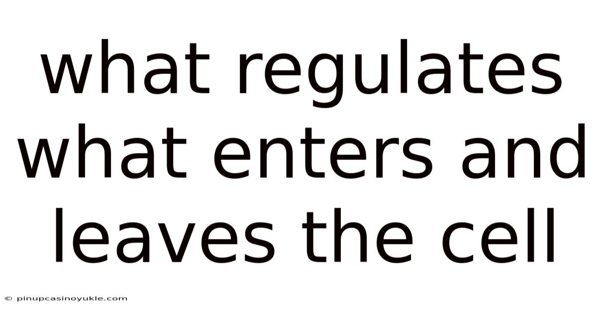 What Regulates What Enters And Leaves The Cell