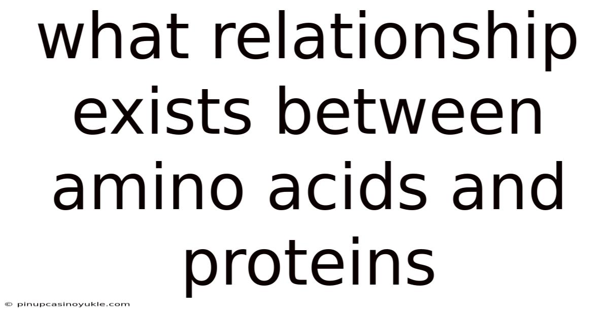 What Relationship Exists Between Amino Acids And Proteins