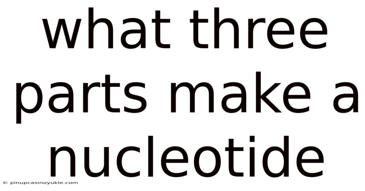 What Three Parts Make A Nucleotide