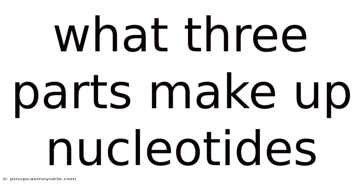 What Three Parts Make Up Nucleotides