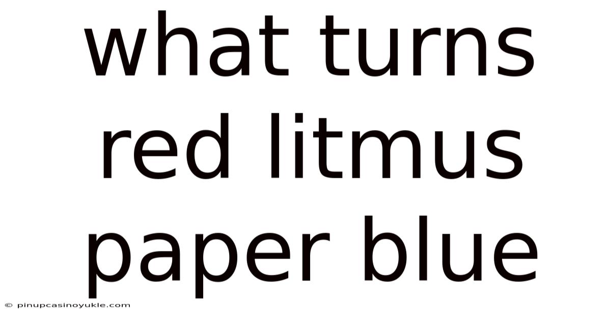What Turns Red Litmus Paper Blue