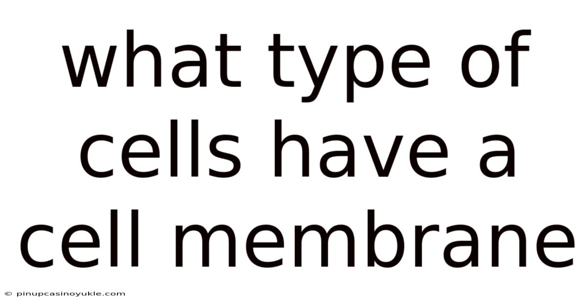 What Type Of Cells Have A Cell Membrane