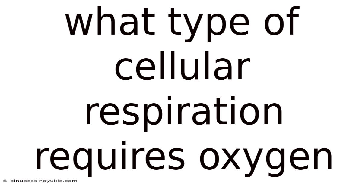 What Type Of Cellular Respiration Requires Oxygen