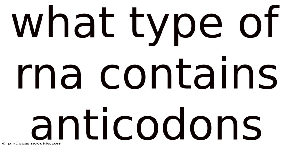 What Type Of Rna Contains Anticodons