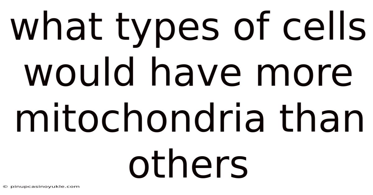 What Types Of Cells Would Have More Mitochondria Than Others