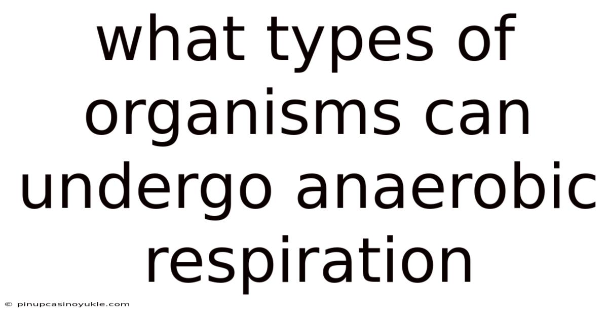 What Types Of Organisms Can Undergo Anaerobic Respiration