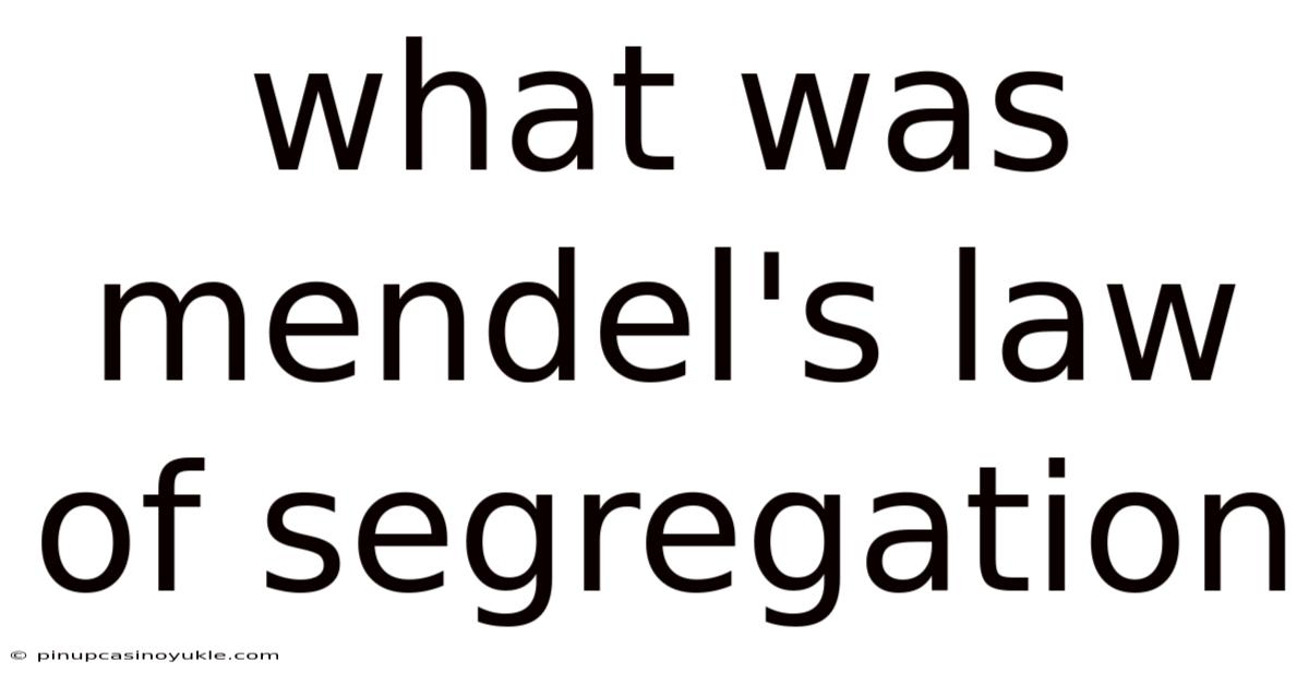 What Was Mendel's Law Of Segregation