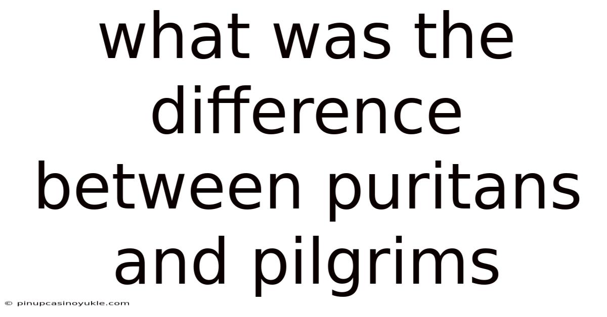 What Was The Difference Between Puritans And Pilgrims