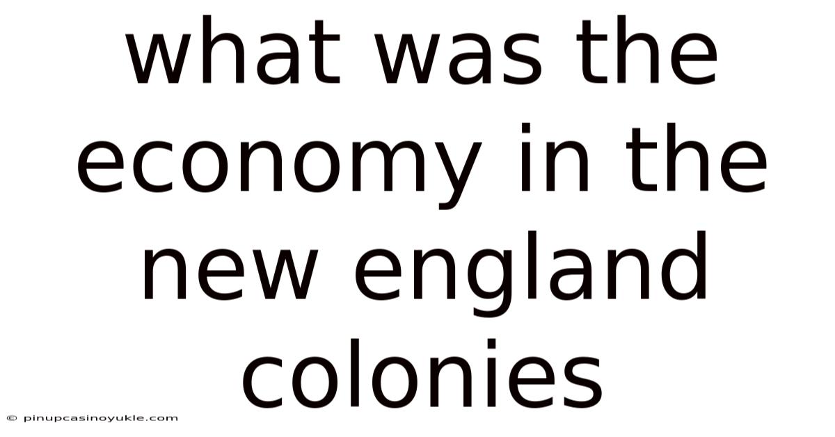 What Was The Economy In The New England Colonies