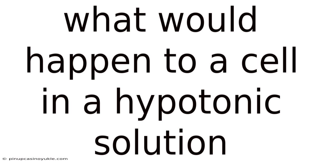 What Would Happen To A Cell In A Hypotonic Solution
