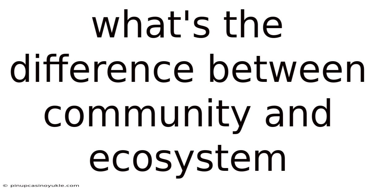 What's The Difference Between Community And Ecosystem