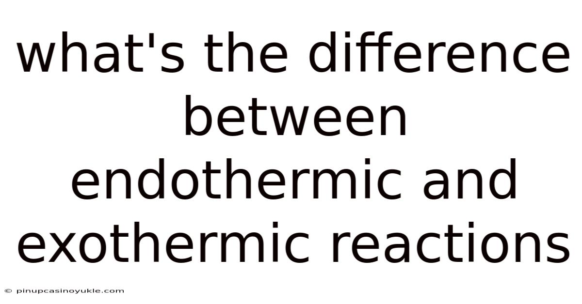 What's The Difference Between Endothermic And Exothermic Reactions