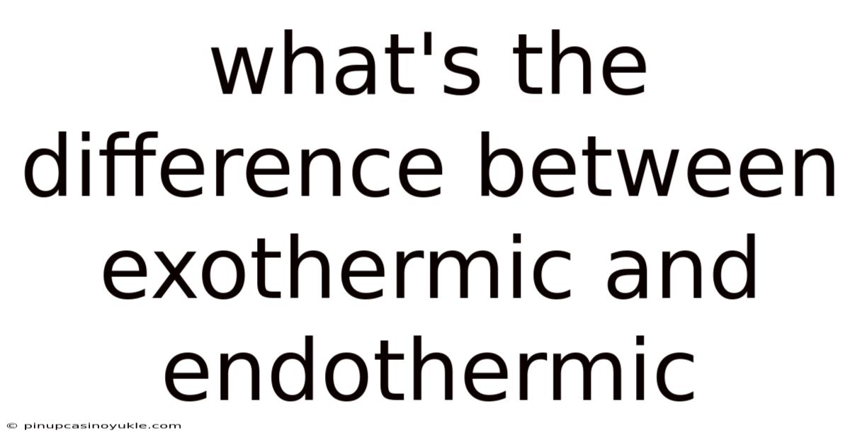 What's The Difference Between Exothermic And Endothermic