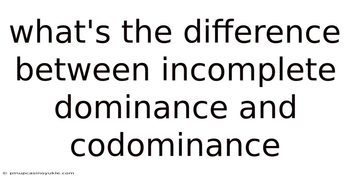 What's The Difference Between Incomplete Dominance And Codominance