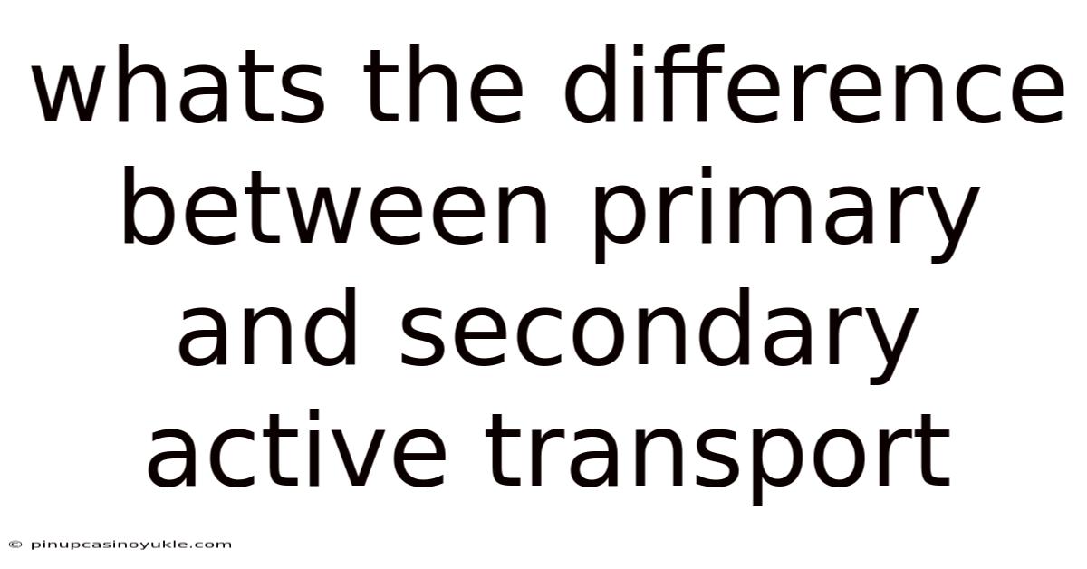 Whats The Difference Between Primary And Secondary Active Transport