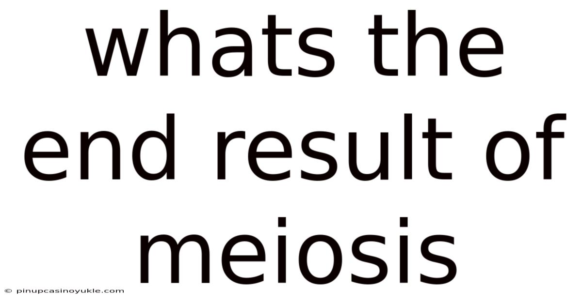 Whats The End Result Of Meiosis