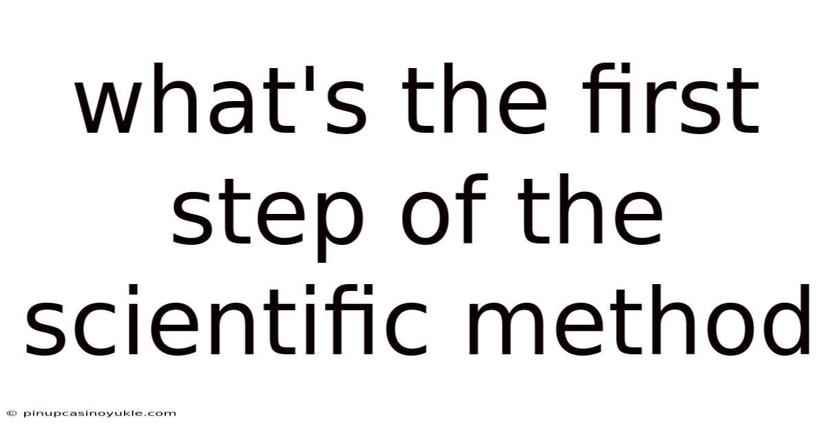 What's The First Step Of The Scientific Method