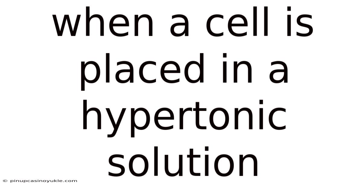 When A Cell Is Placed In A Hypertonic Solution