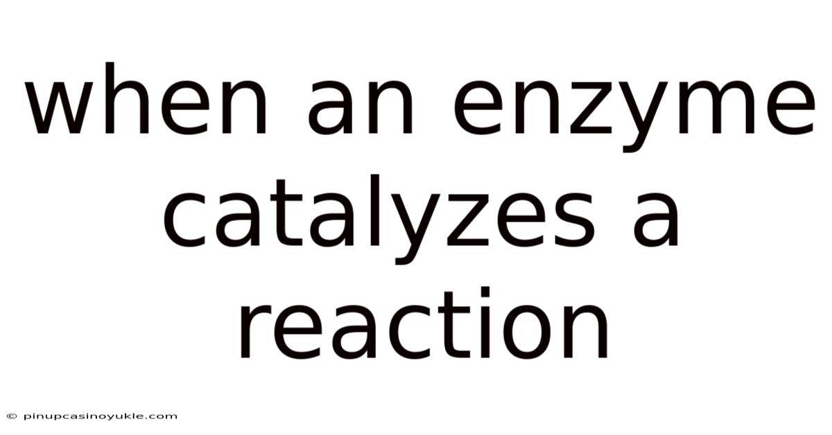 When An Enzyme Catalyzes A Reaction