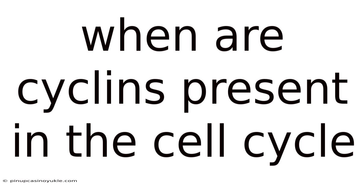 When Are Cyclins Present In The Cell Cycle