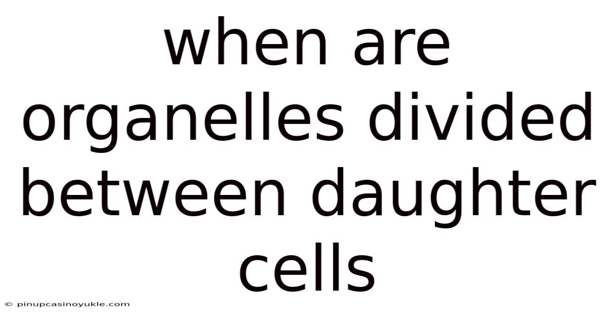 When Are Organelles Divided Between Daughter Cells