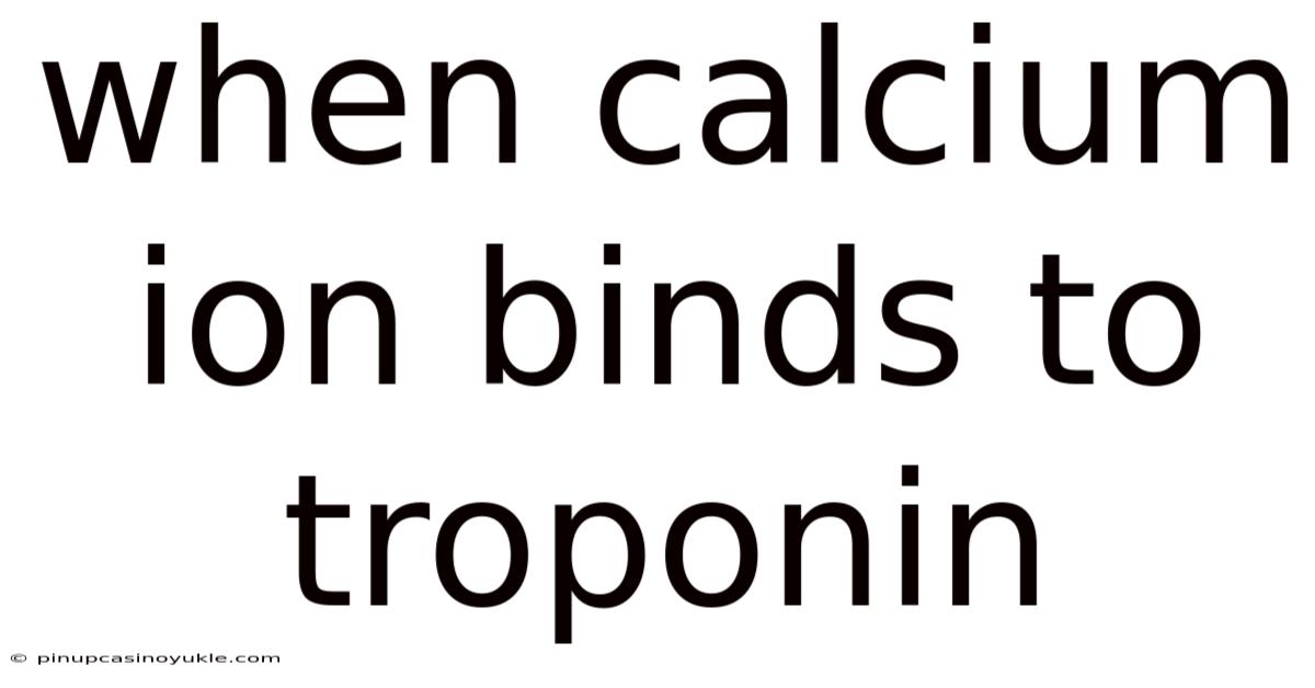 When Calcium Ion Binds To Troponin
