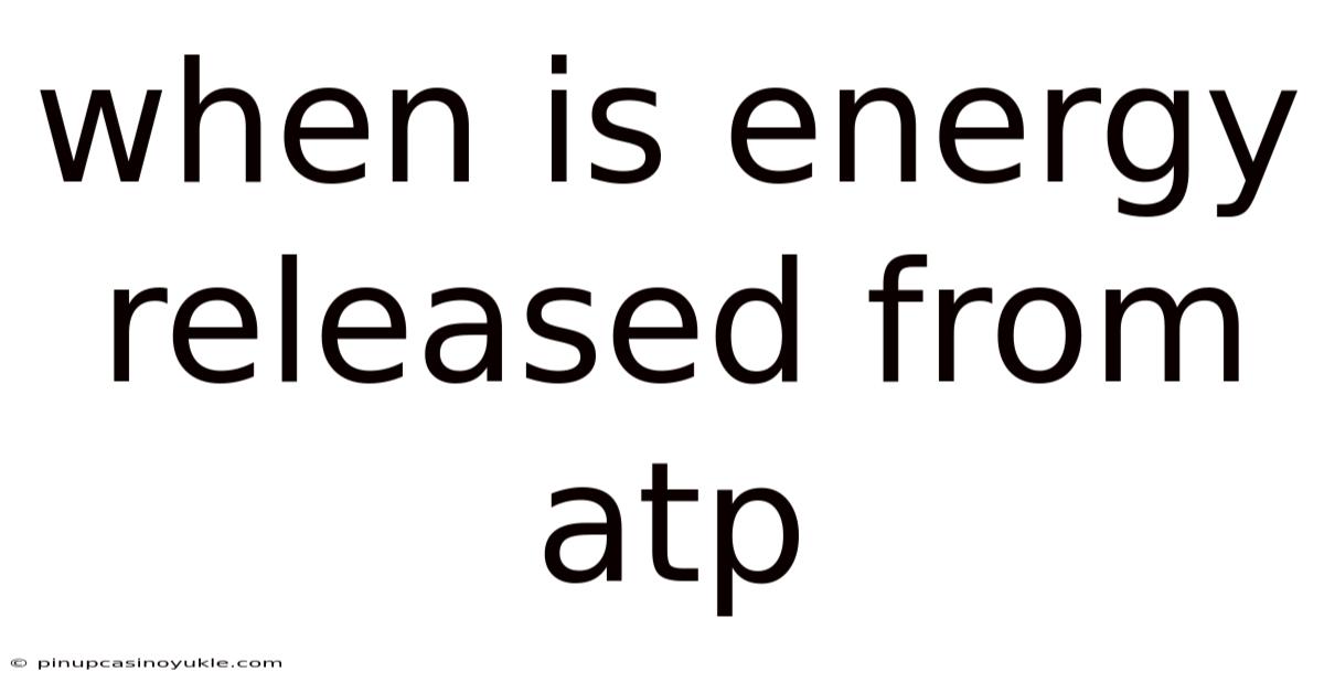 When Is Energy Released From Atp