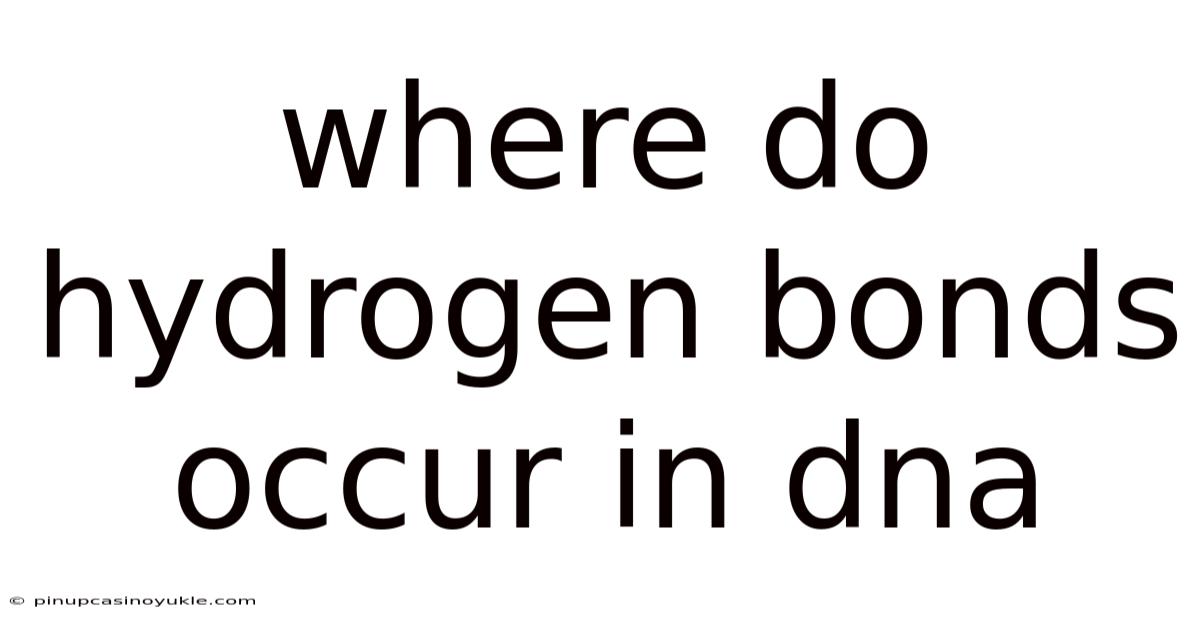 Where Do Hydrogen Bonds Occur In Dna