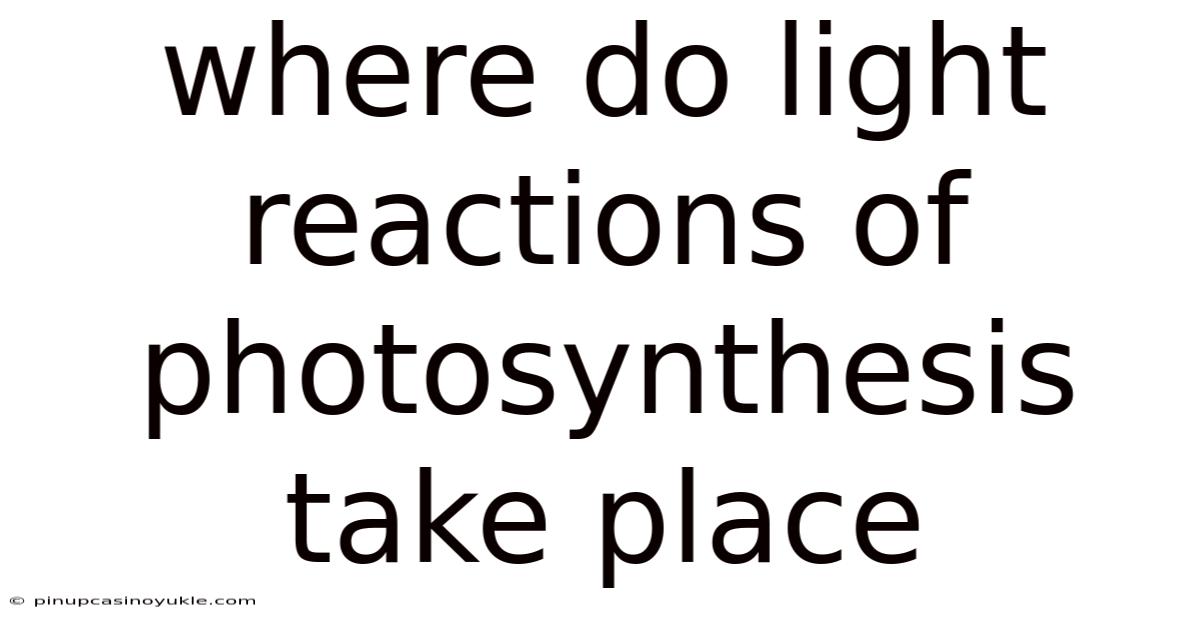 Where Do Light Reactions Of Photosynthesis Take Place