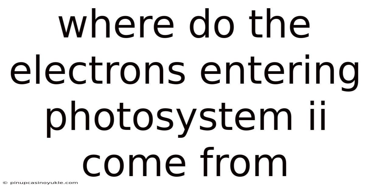 Where Do The Electrons Entering Photosystem Ii Come From