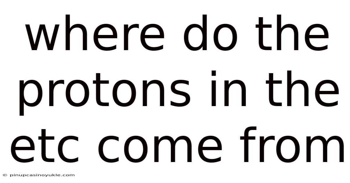 Where Do The Protons In The Etc Come From