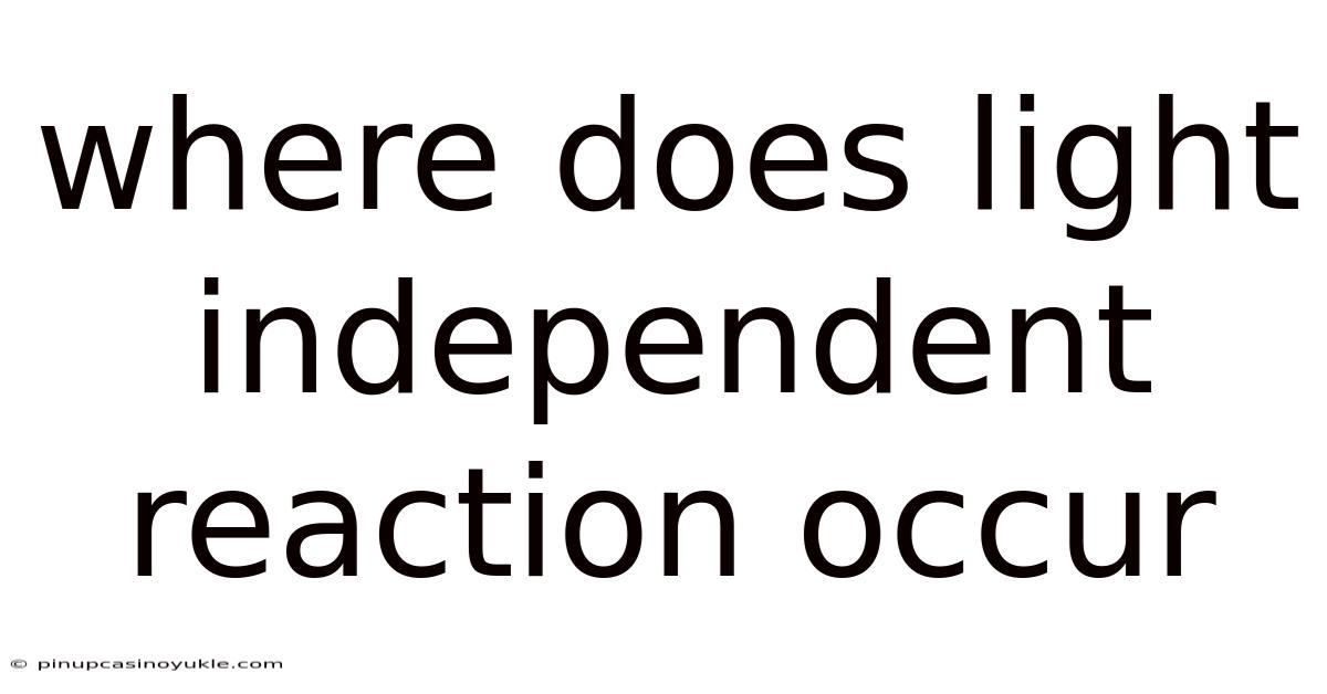 Where Does Light Independent Reaction Occur