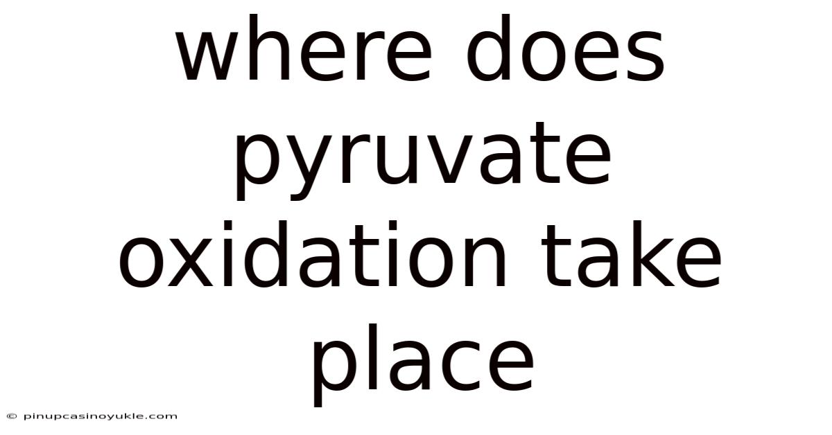 Where Does Pyruvate Oxidation Take Place