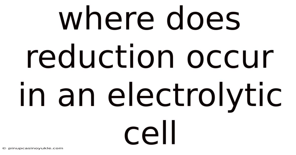 Where Does Reduction Occur In An Electrolytic Cell