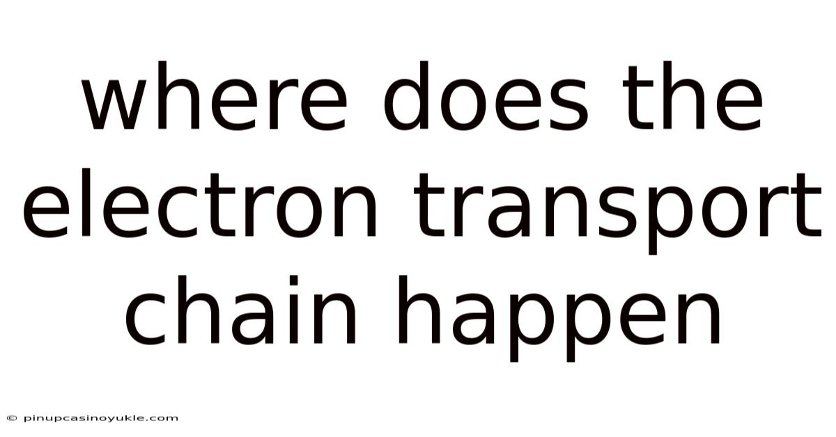 Where Does The Electron Transport Chain Happen