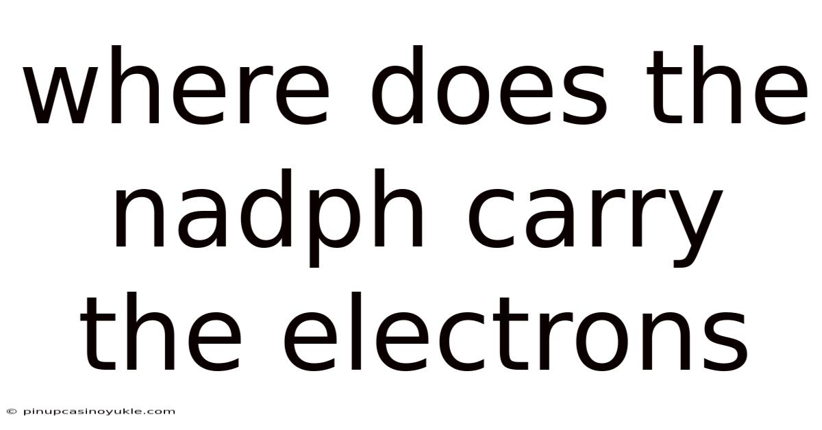 Where Does The Nadph Carry The Electrons