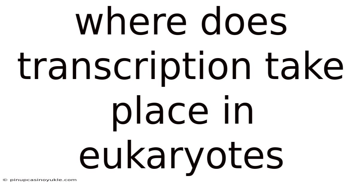 Where Does Transcription Take Place In Eukaryotes