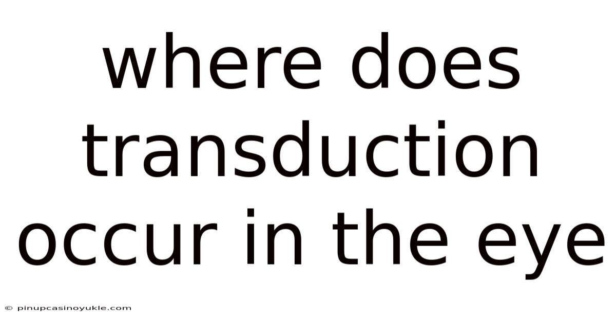 Where Does Transduction Occur In The Eye