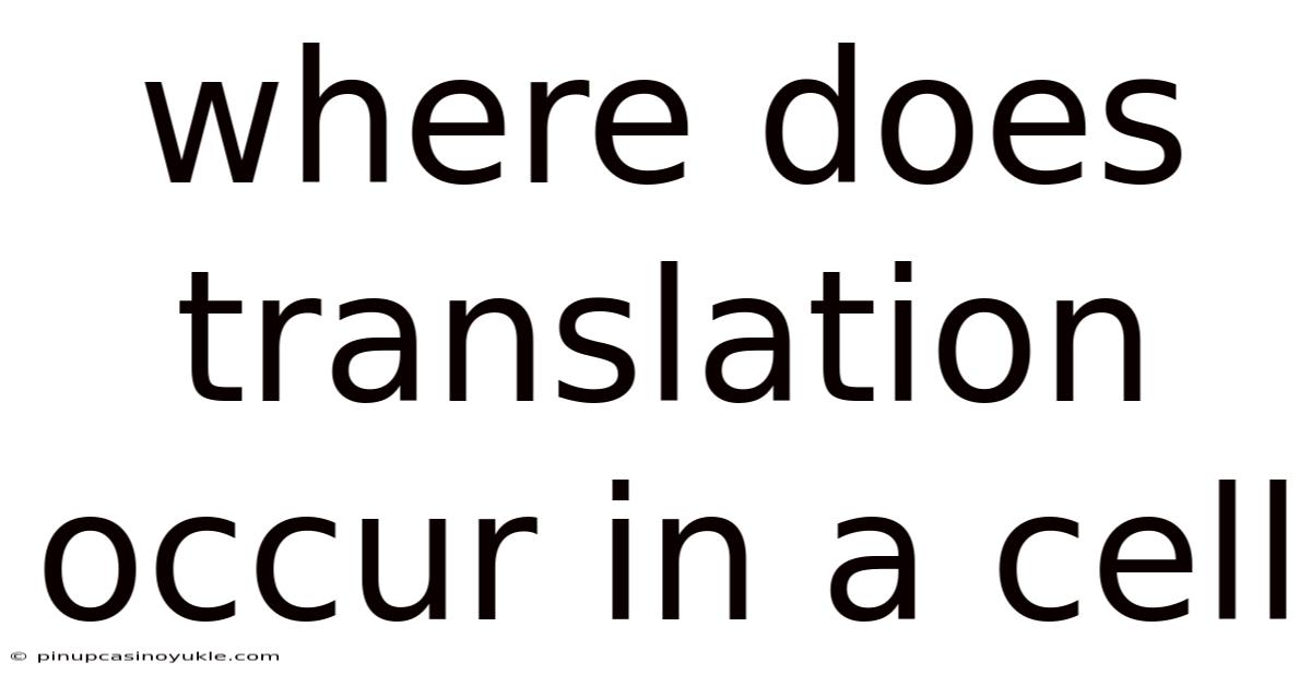 Where Does Translation Occur In A Cell