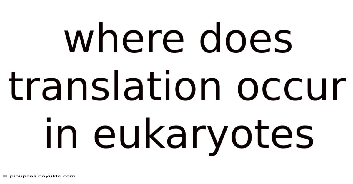 Where Does Translation Occur In Eukaryotes