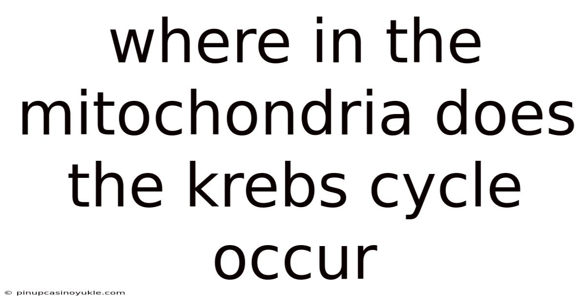 Where In The Mitochondria Does The Krebs Cycle Occur