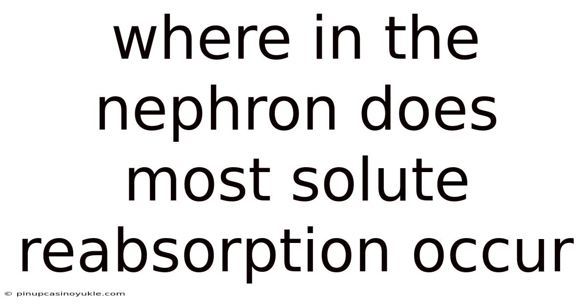 Where In The Nephron Does Most Solute Reabsorption Occur