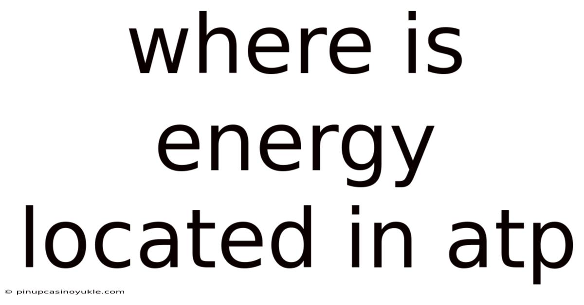 Where Is Energy Located In Atp